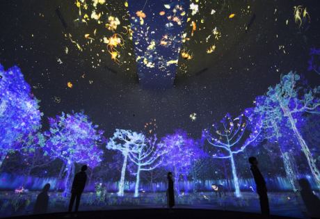 Story of the Forest at National Museum of Singapore Free things to do in Singapore Honeycombers