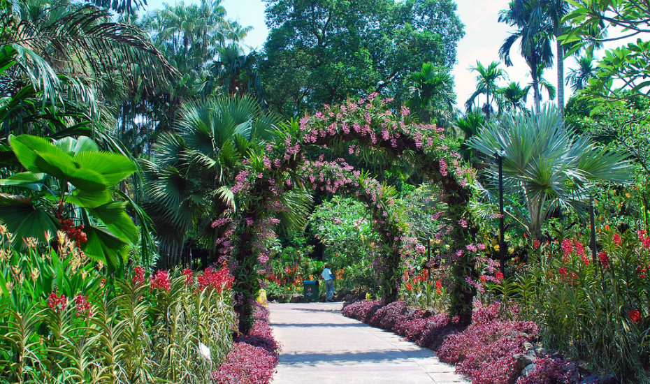 national-orchid-garden-choo-yut-shing