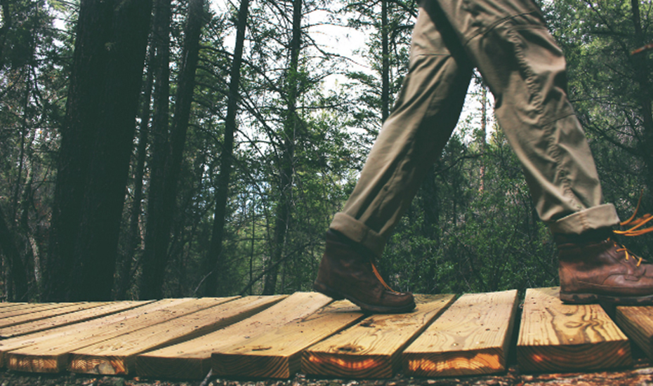 Hike away, alone, at Dairy Farm Nature Park