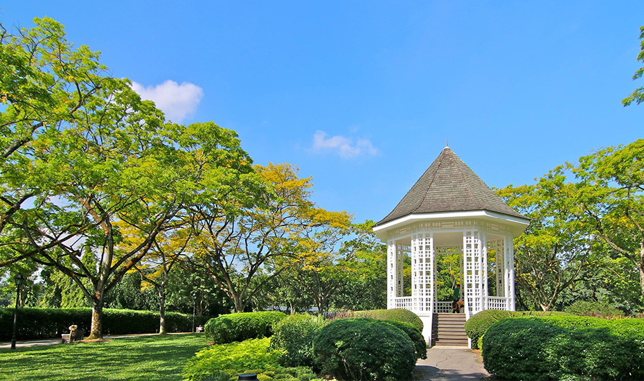 Imagine doing yoga at the beautiful Singapore Botanic Gardens - how calming, om! (Credit: Lee Seokhua via SBG Facebook)