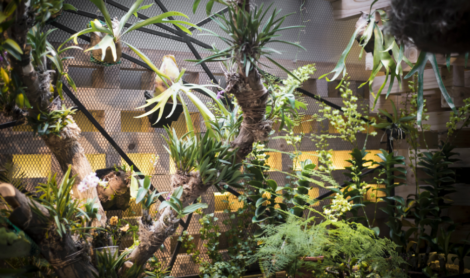 birds-of-a-feather_greenery