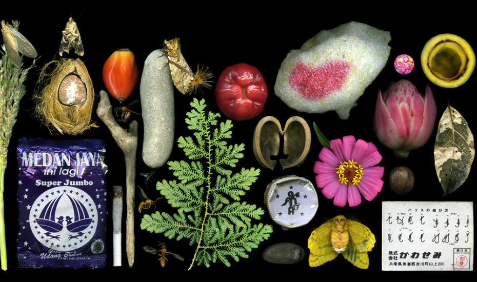 Art exhibits in Singapore 2017 Honeycombers