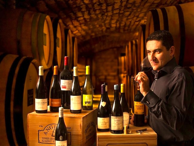 Wise on Wines