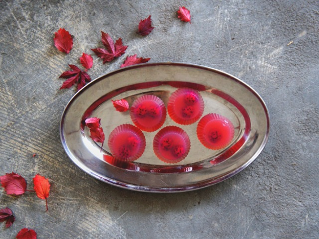 Hibiscus.agar.agar 640 x 480