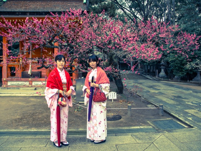 Tokyo and Kyoto, Japan: What to do, see and eat, plus where to stay in the two Japanese cities