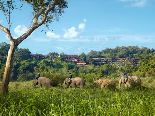 Anantara Golden Triangle | Where to stay in Chiang Mai | Honeycombers Singapore