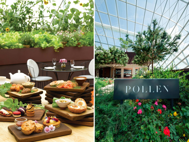 restaurants-for-ladies-lunch-in-singapore-pollen