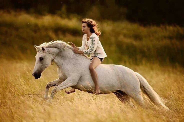 Whether you're a newbie or a seasoned equestrian, there's a horse suited for everyone at Gallop Stables