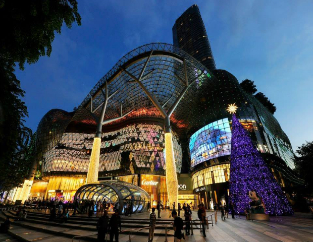ION Orchard