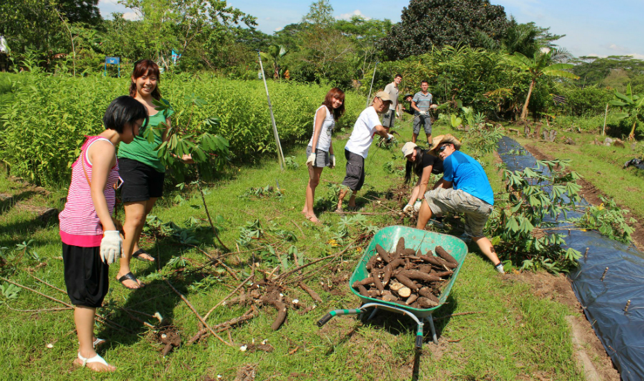 Display your green thumb at Bollywood Veggies' farm Photography: Bollywood Veggies