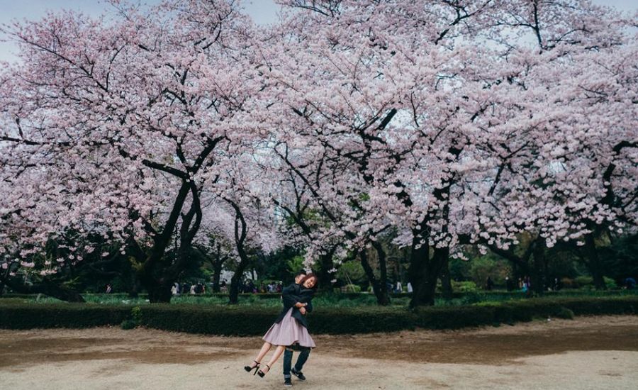 Multifolds.Photography