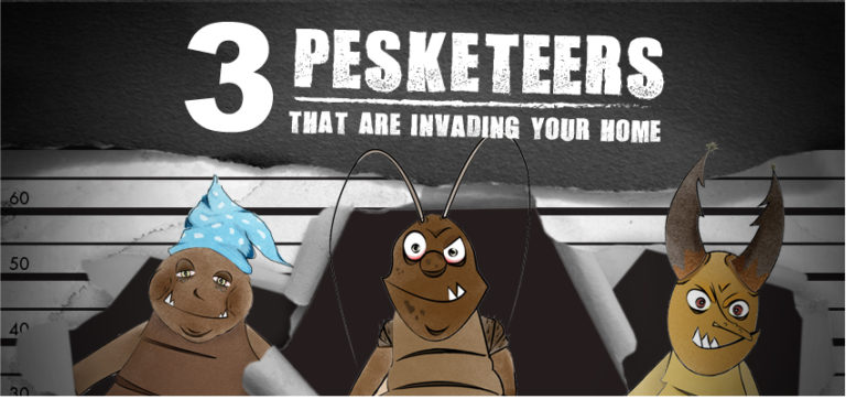 Pest control in Singapore: Get rid of termites, cockroaches and bedbugs with Rentokil