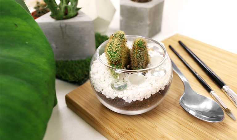 How to make a terrarium in Singapore: Terrarium workshops, classes, stores and our handy DIY guide