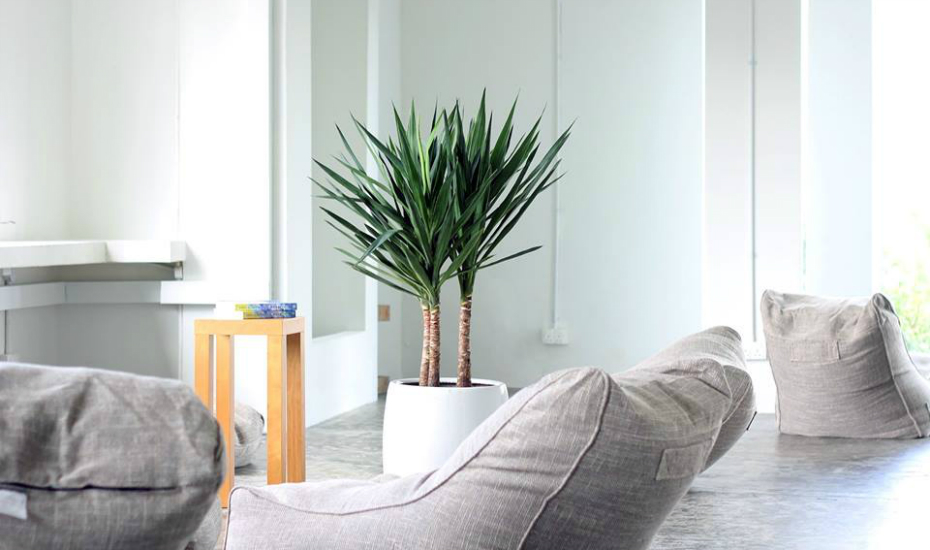 Relax and recharge at Palm Ave Float Club's new outlet Are you ready to lose your mind... in the best way possible? (Credit: Palm Ave Float Club FB page)