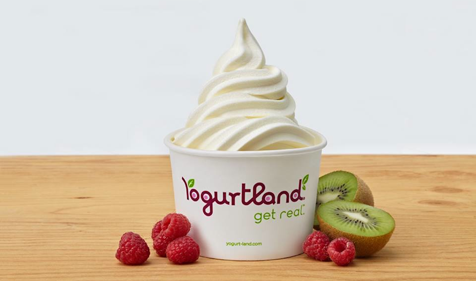 Frozen yogurt in Singapore Froyo dessert store Yogurtland opens at