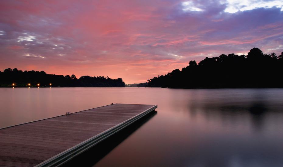 Stunning Macritchie Reservoir