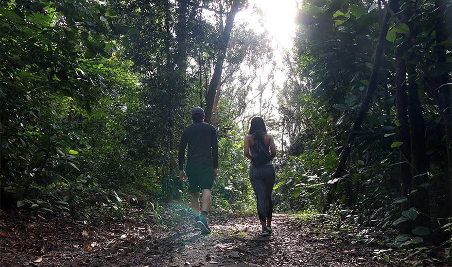 Hikes in Singapore: Honeycombers treks The Southern Ridges, including Mount Faber Park, Henderson Waves and Hortpark