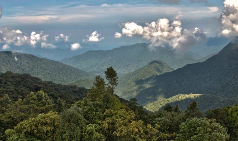 Take a road trip from Singapore to Malaysia: drive to our fave spots in Penang, Malacca, Cameron Highlands and KL
