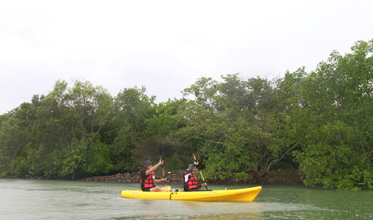 Kayaking in Singapore: How to kayak through the mangrove forests of Pulau Ubin