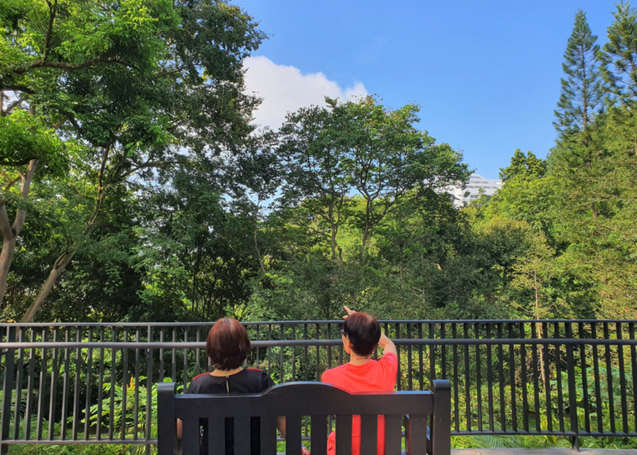 Explore Singapore’s secret parks and hidden gardens in the city