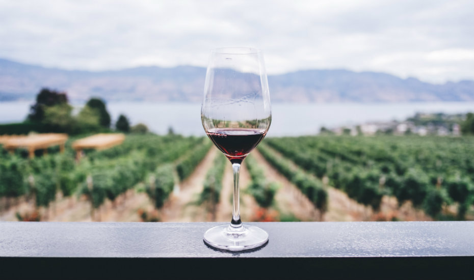 From the vineyard to your home (Photography by Kym Ellis via Unsplash)