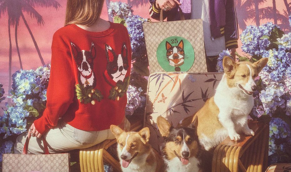 Gucci | Dog prints to subtle CNY style: fashion trends for Chinese New Year