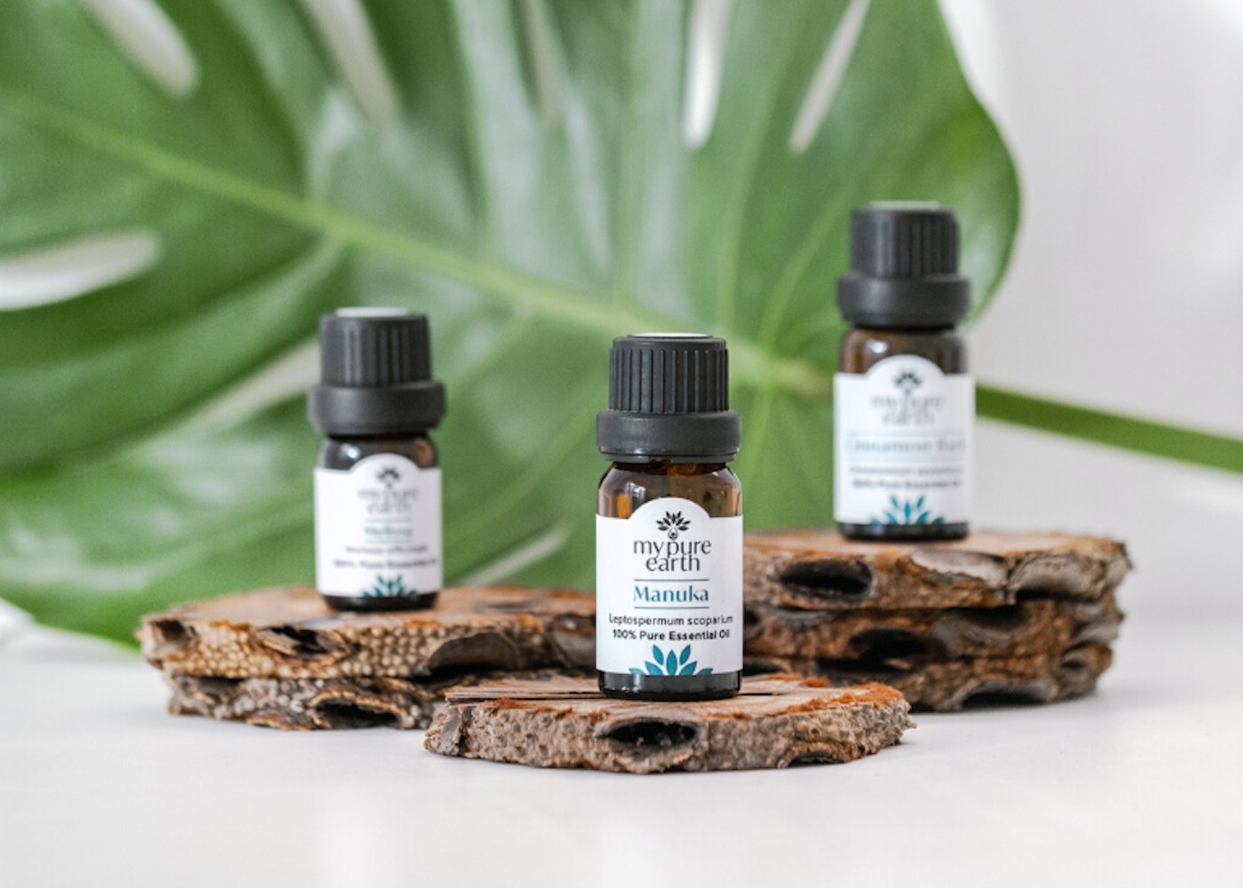 essential oils aromatherapy