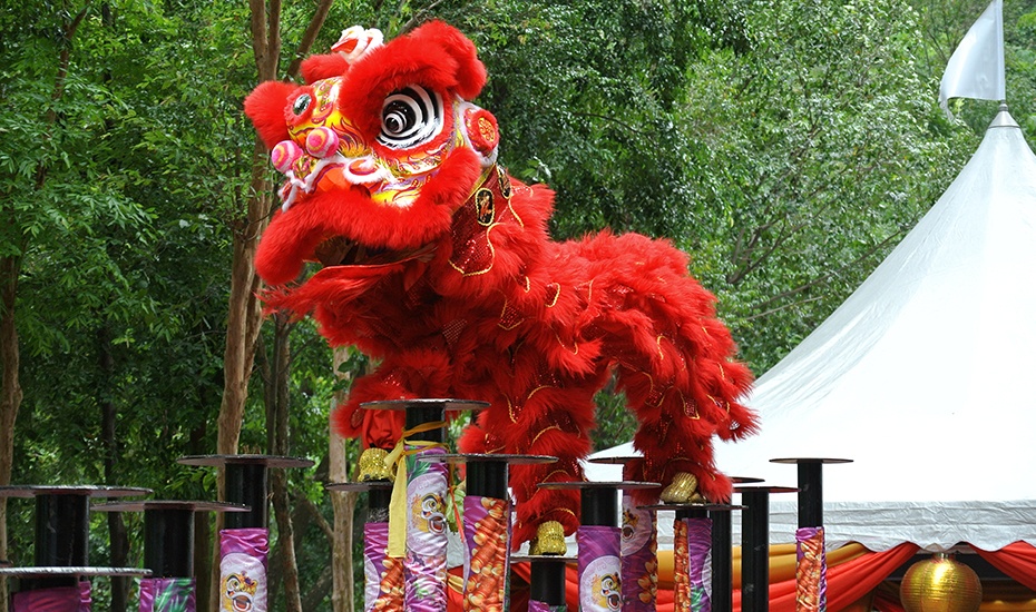 Must-do Chinese New Year events: parties and parades in Singapore