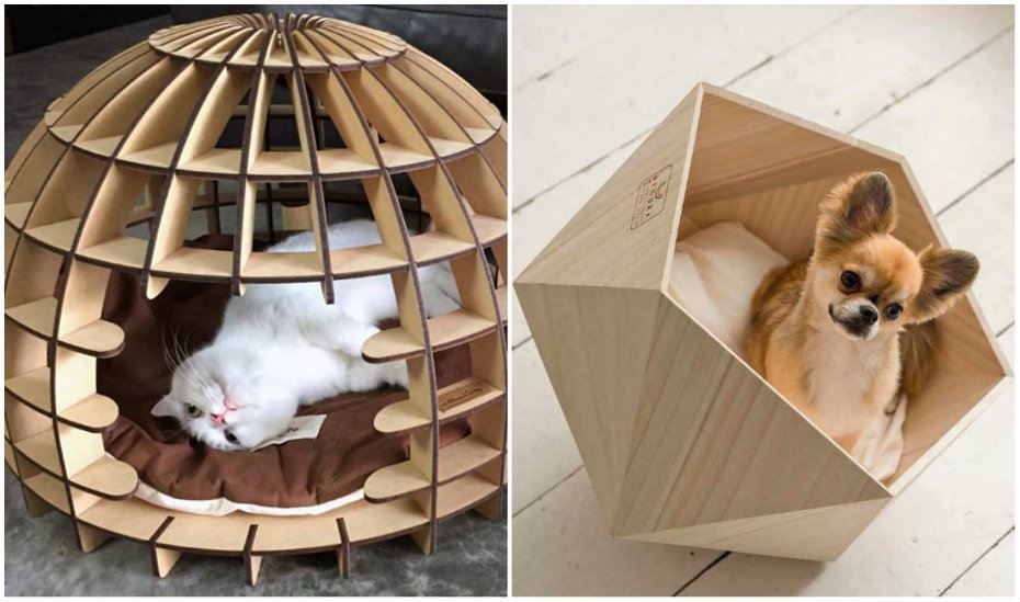 The coolest pet beds in Singapore for cats and dogs to snooze in