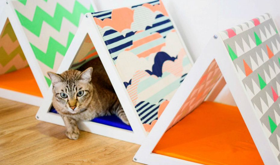 The coolest pet beds in Singapore for cats and dogs to snooze in