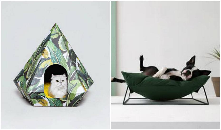 The coolest pet beds in Singapore for cats and dogs to snooze in