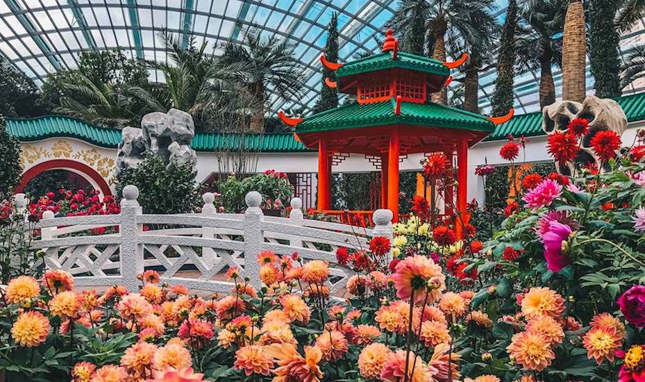 Top 10 things to do this weekend