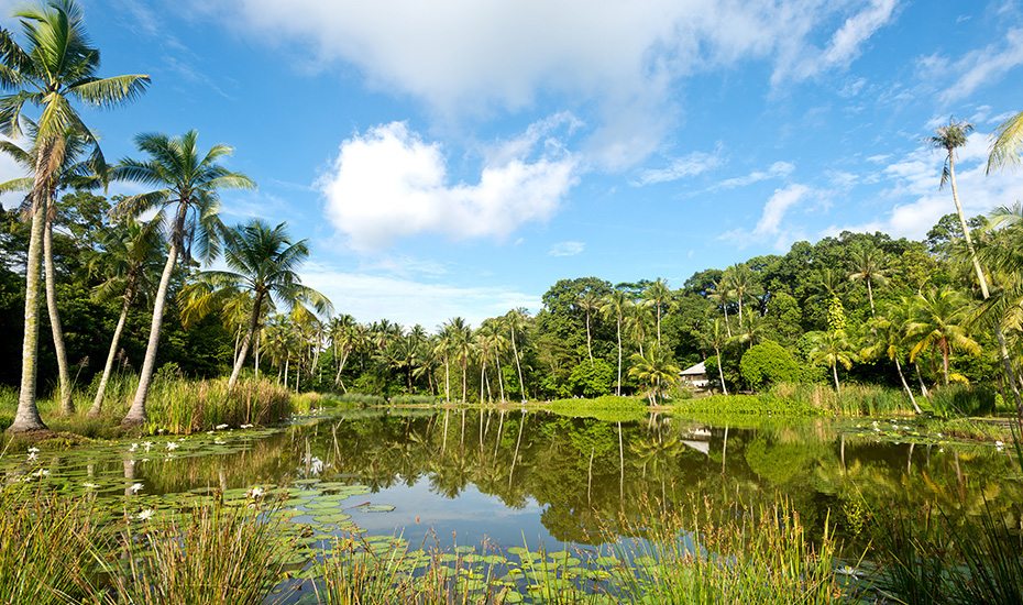 Chris Howey Shutterstock Honeycombers Singapore