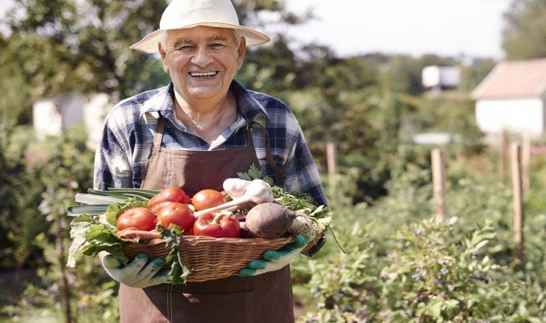 Alce Nero: Our go-to brand for organic products in Singapore
