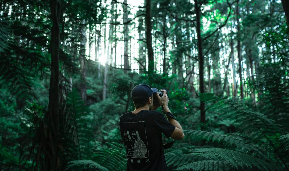 Best cameras 2018