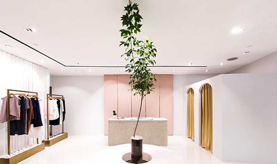 Singapore’s cool spaces | Beyond the Vines