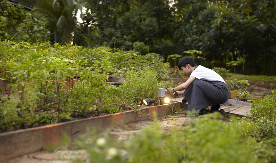 open farm community honeycombers singapore