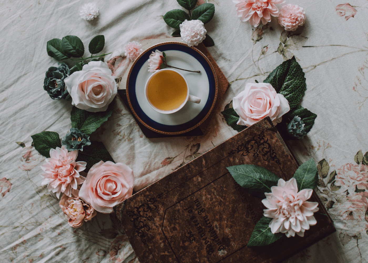 Shop classic, specialty and artisanal teas from local labels and beyond