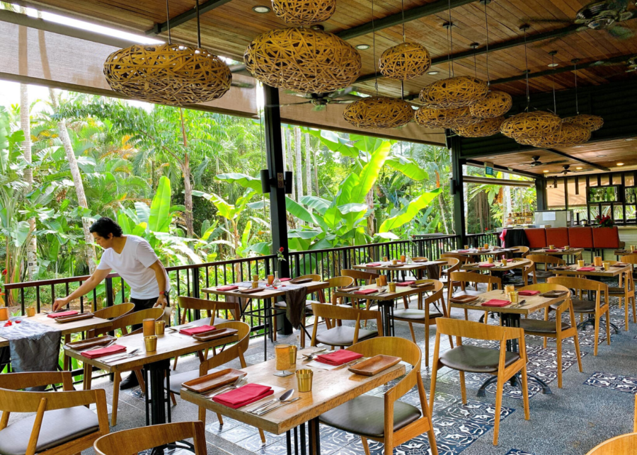 the halia singapore botanic gardens