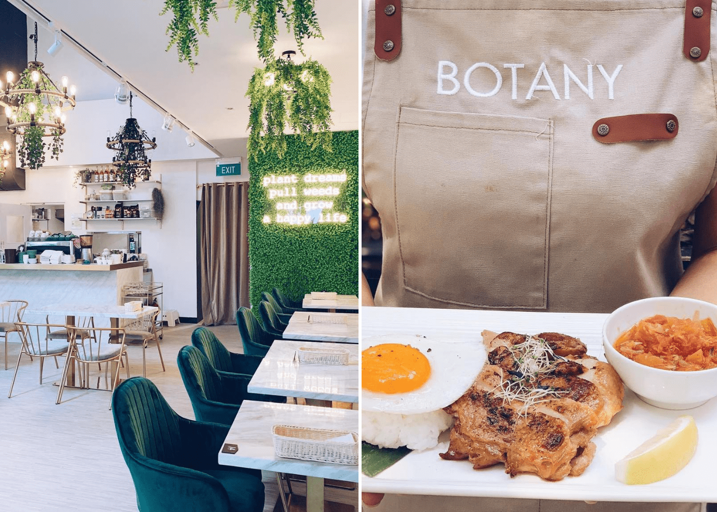 botany | tropical cafes