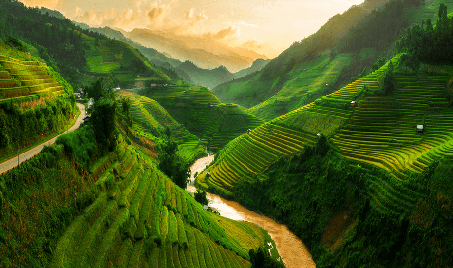 sapa shutterstock honeycombers singapore