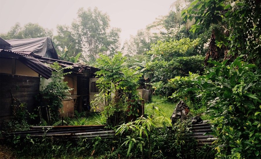 Exploring the Last Kampong in Singapore: Kampong Lorong Buangkok