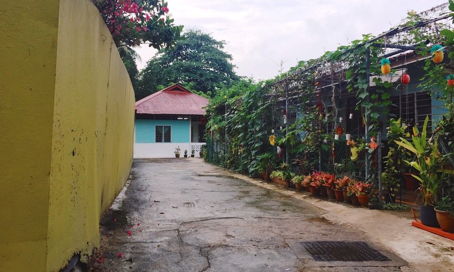 Exploring the Last Kampong in Singapore: Kampong Lorong Buangkok