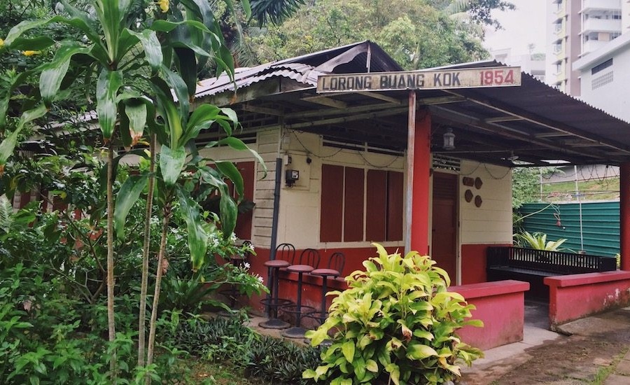 Exploring the last kampong in Singapore: Kampong Lorong Buangkok