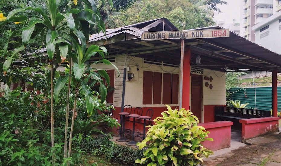 Exploring the Last Kampong in Singapore: Kampong Lorong Buangkok