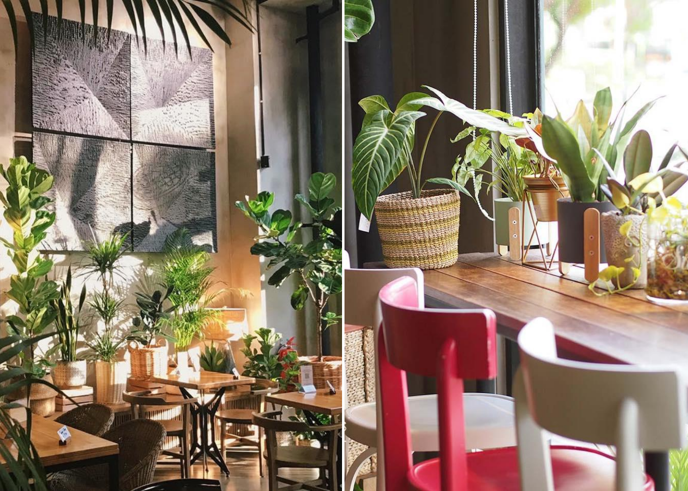 knots cafe and living