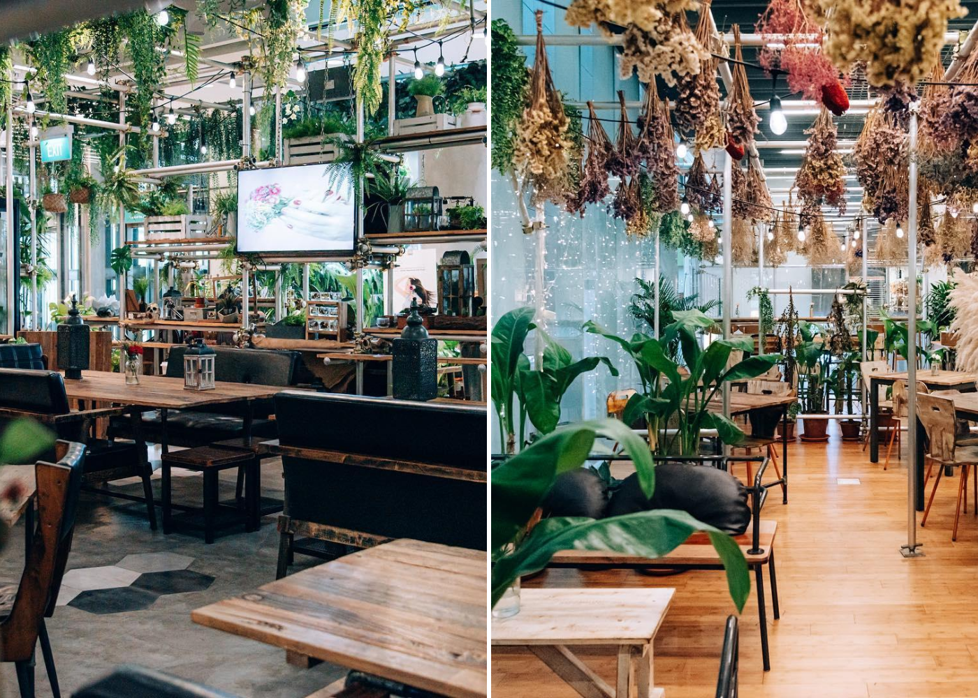 walking on sunshine garden cafe