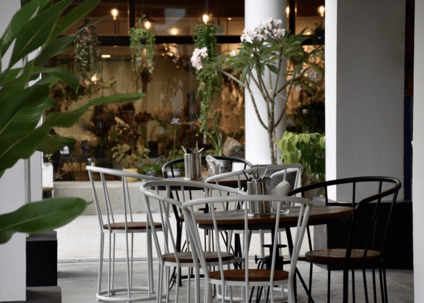 wildseed cafe | garden cafes