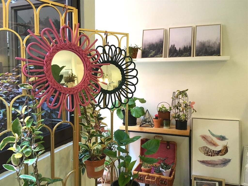Where to buy houseplants: Tumbleweed