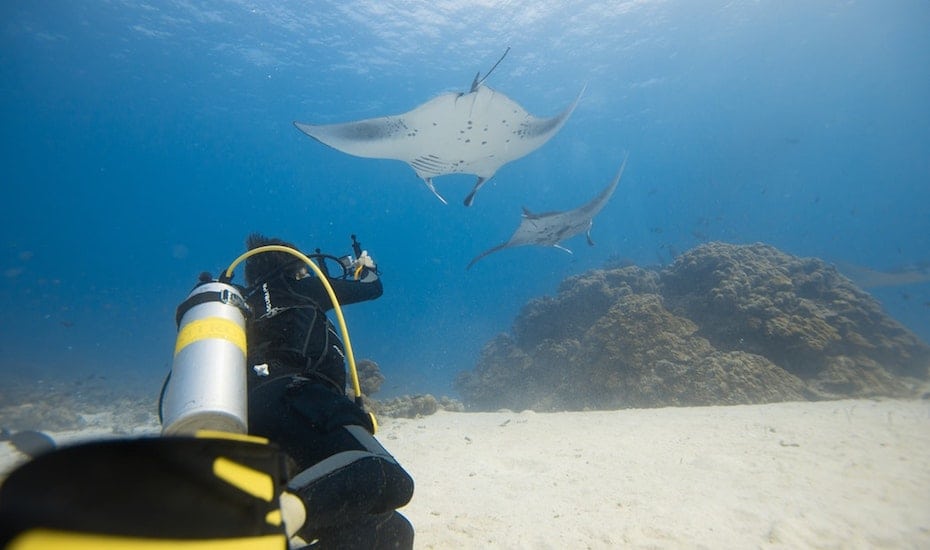 Swim amidst Manta Rays at Mergui Archipelago